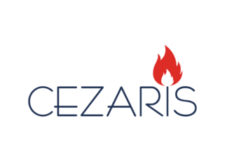 Чей бренд Cezaris и где производят кухонные плиты Цезарис