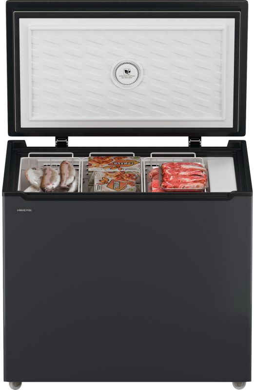 Морозильный ларь Hiberg PF 25 NFXd