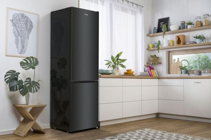 Двухкамерный холодильник Gorenje NRK6202EBXL4