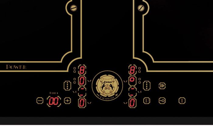 Индукционная варочная панель Kaiser KCT 6192 FI Em