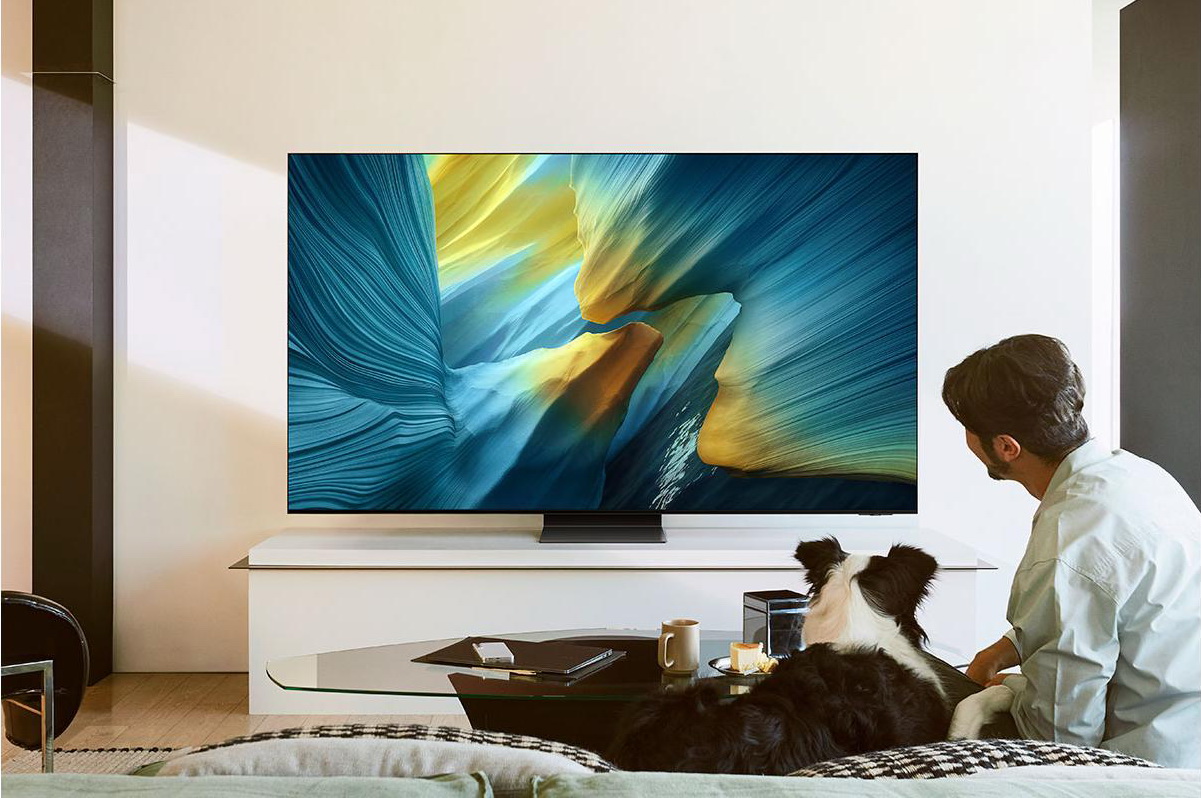 OLED телевизор Samsung QE65S90FAEXRU
