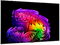 OLED телевизор LG OLED55G6RLA.ARUG