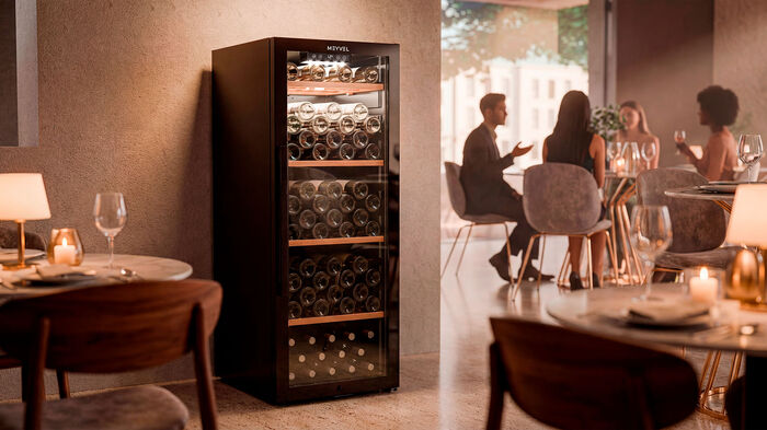Винный шкаф Meyvel MV105-KBF1