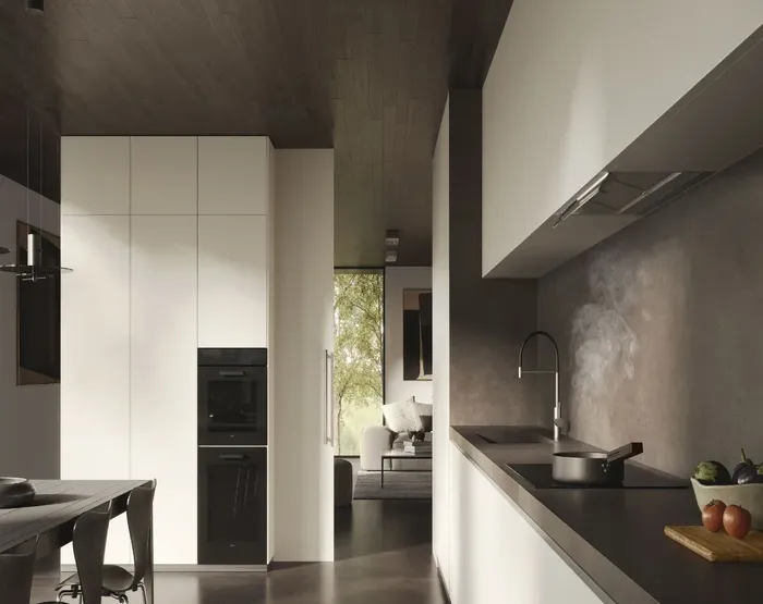 Полновстраиваемая вытяжка Elica BOXIN ADV DRY @ IX/A/120