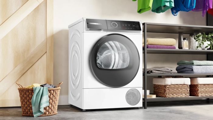 Сушильная машина Bosch WQB245B40